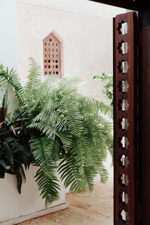 NM Photography _ Wimbi House_89