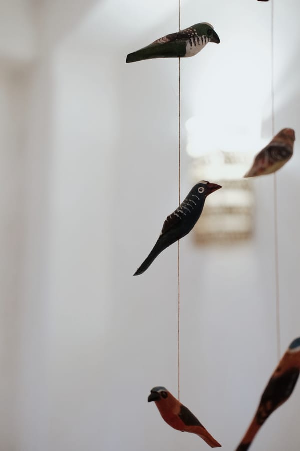 NM Photography _ Wimbi House_120